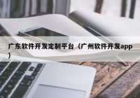 广东软件开发定制平台（广州软件开发app）