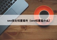 seo优化权重提升（seo权重是什么）