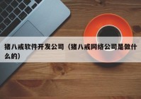 猪八戒软件开发公司（猪八戒网络公司是做什么的）